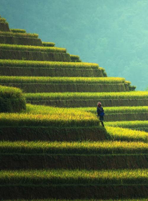 VIETNAM